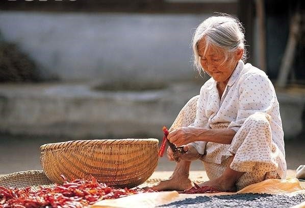 하얀여행사 제주 이미지