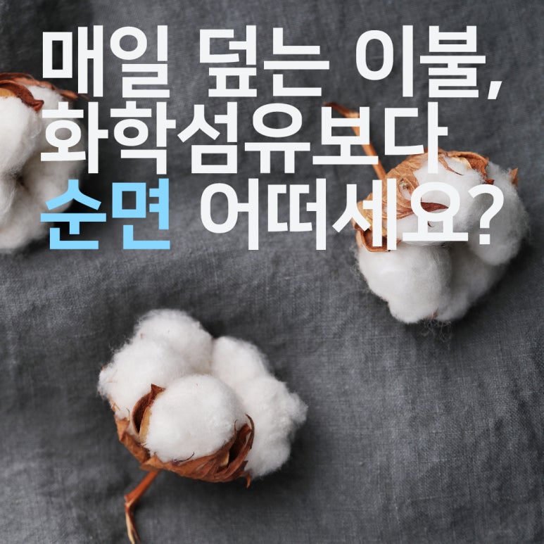 이불섬 이미지