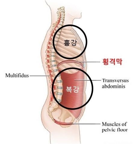 악어연기학원 이미지