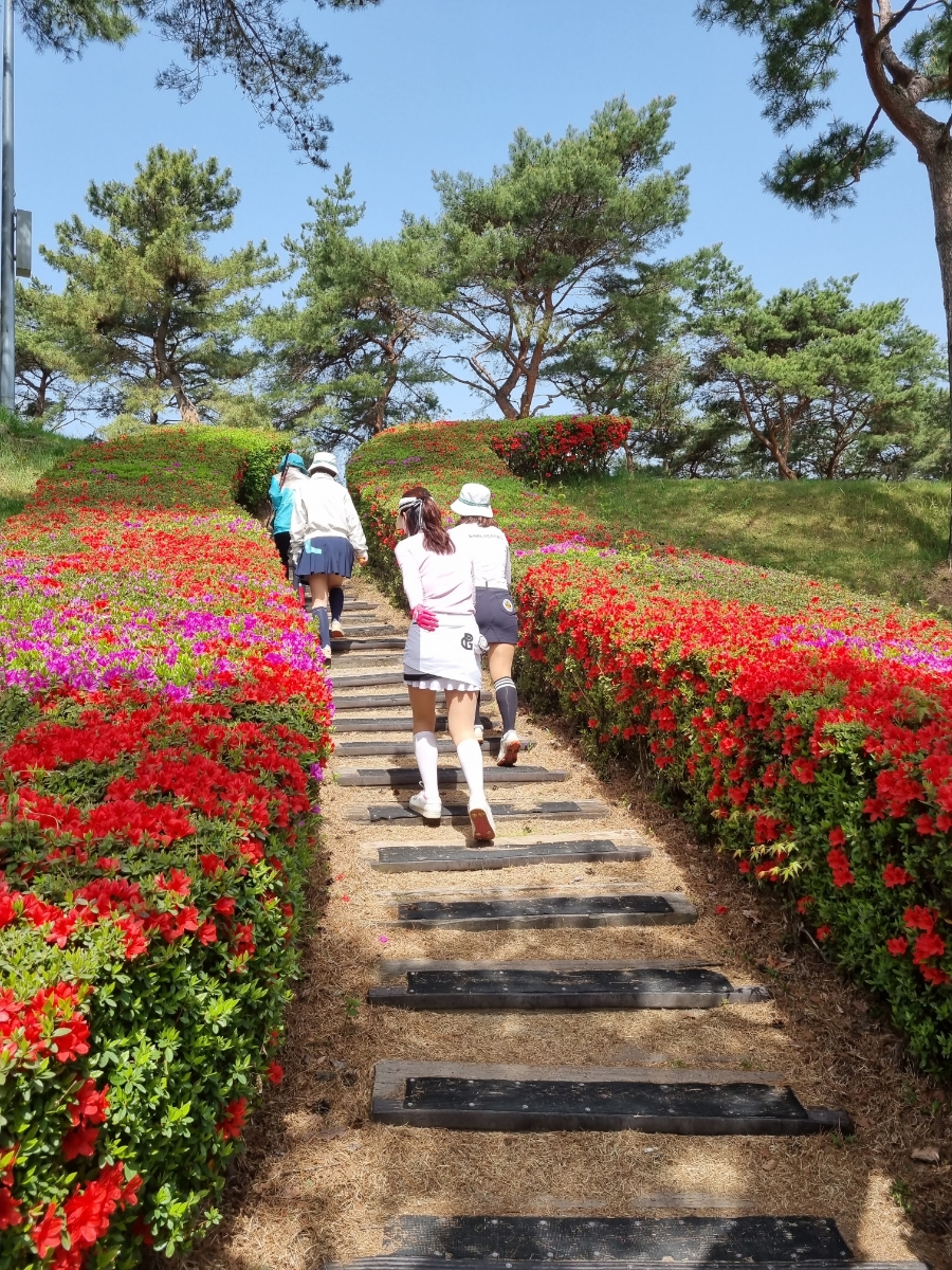 배*남 이미지