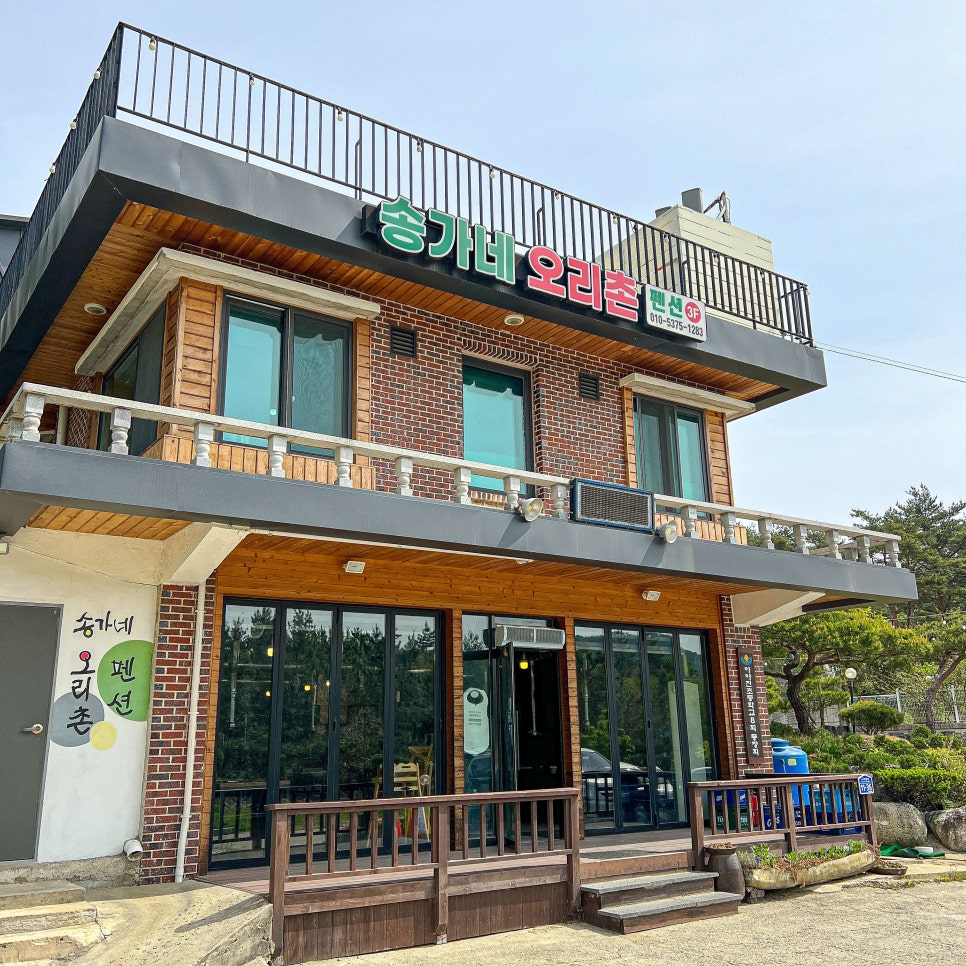 송가네 오리 이미지