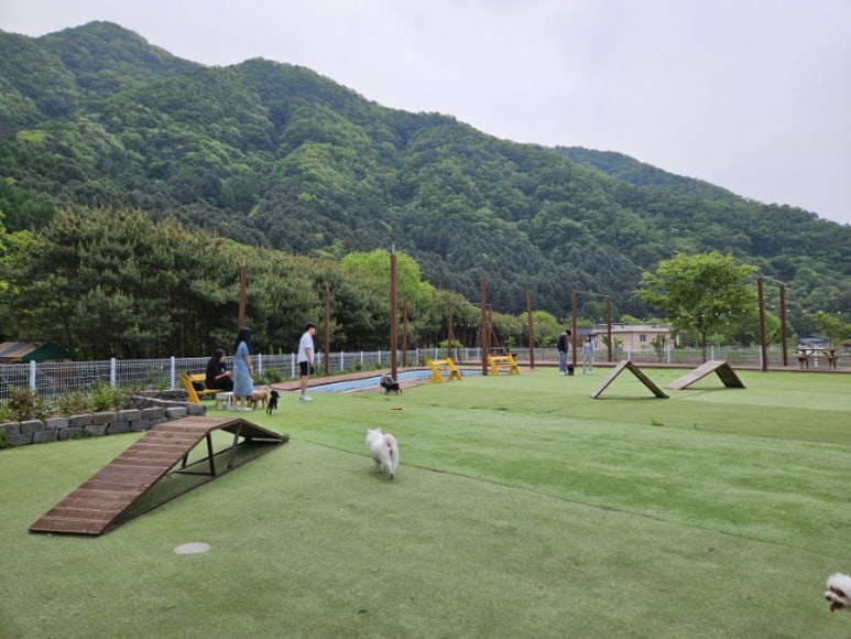 갤럭시하우스스파펜션&애견펜션 이미지