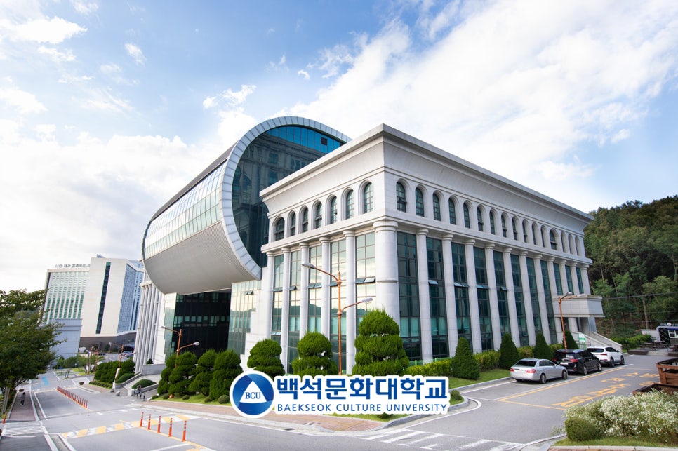 백프로(100%)헤어 이미지
