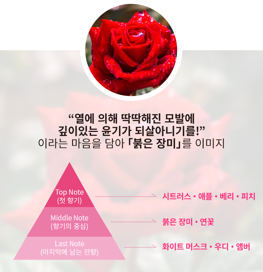 필헤어라인 이미지