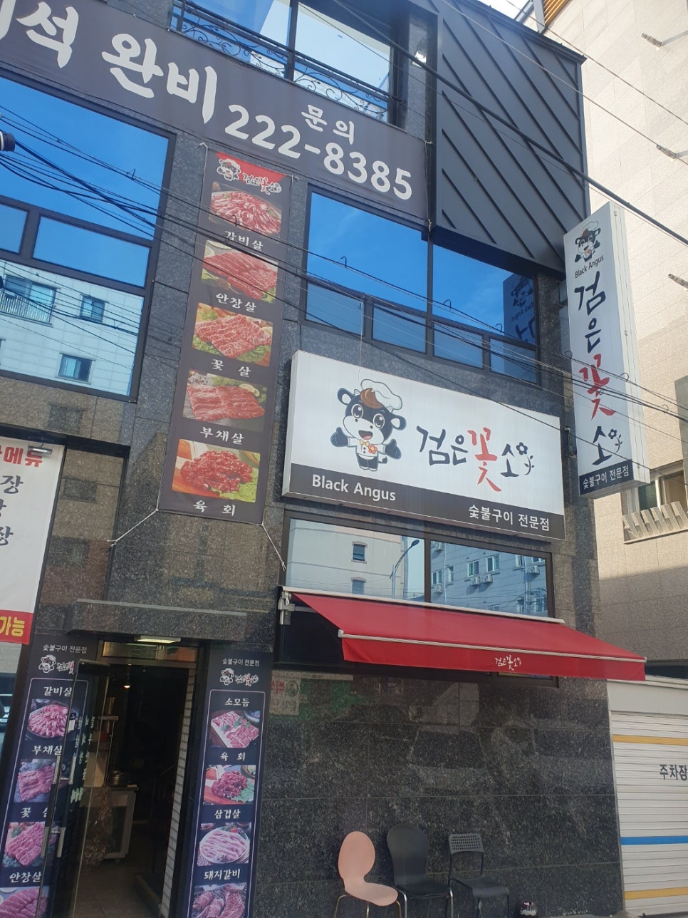 검은꽃소 이미지