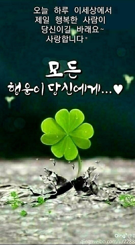 별난낙지와찜 이미지