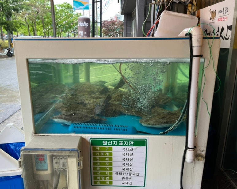 천생산아구찜 이미지