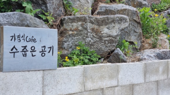 수줍은공기 이미지