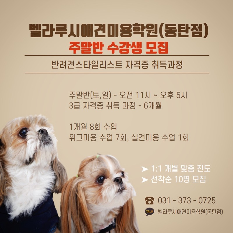 벨라루시애견미용학원 이미지