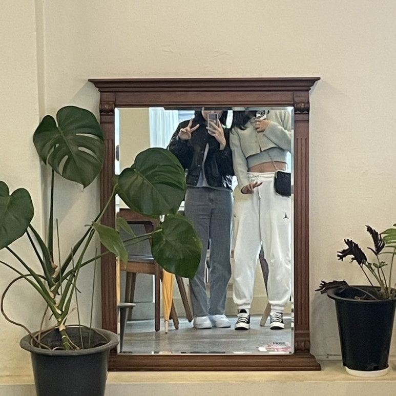 마핑파 이미지