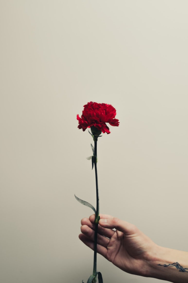 행복마을요양병원 이미지