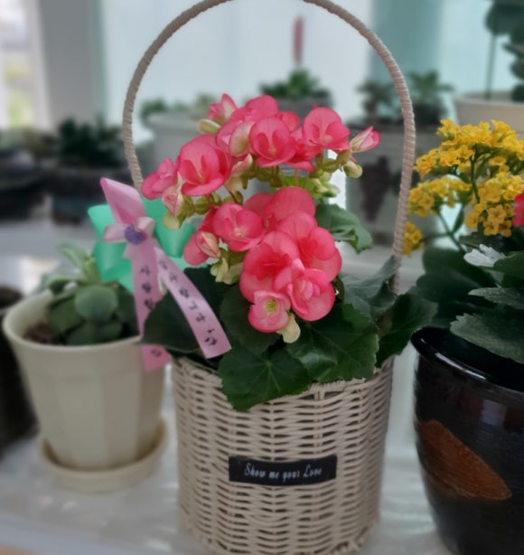 사랑꽃집 이미지