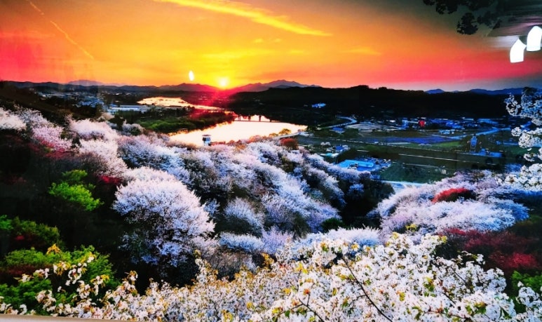 이광주스튜디오 이미지