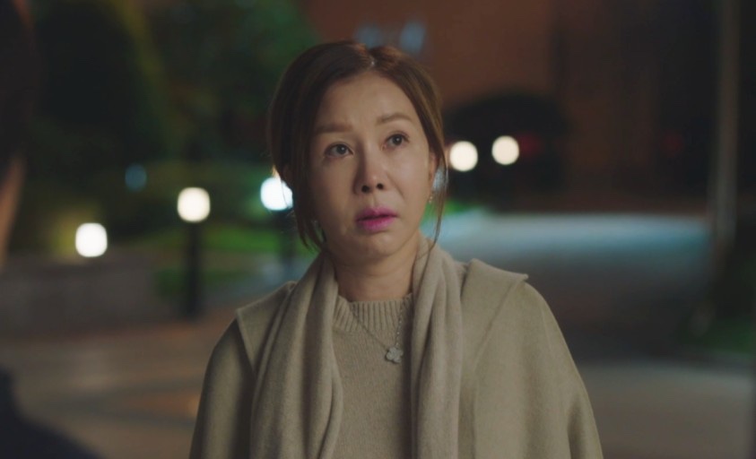 닥터로이 이미지
