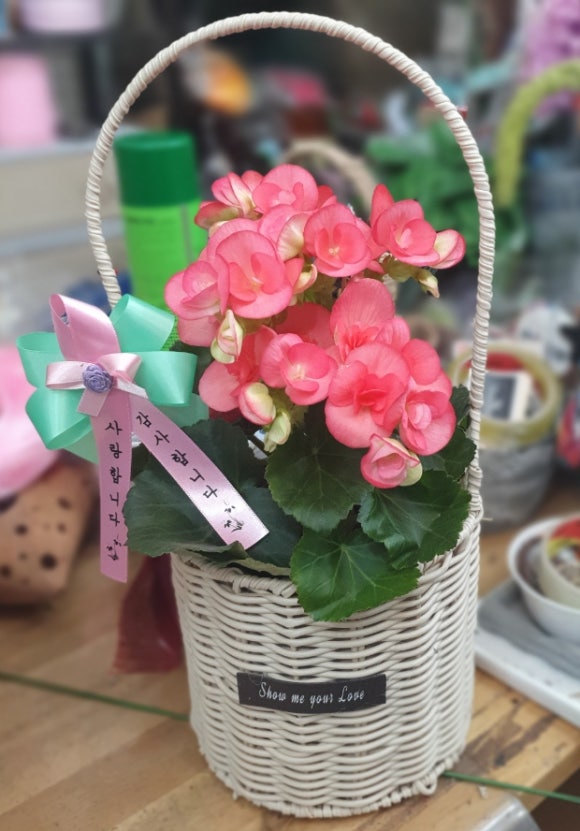 사랑꽃집 이미지
