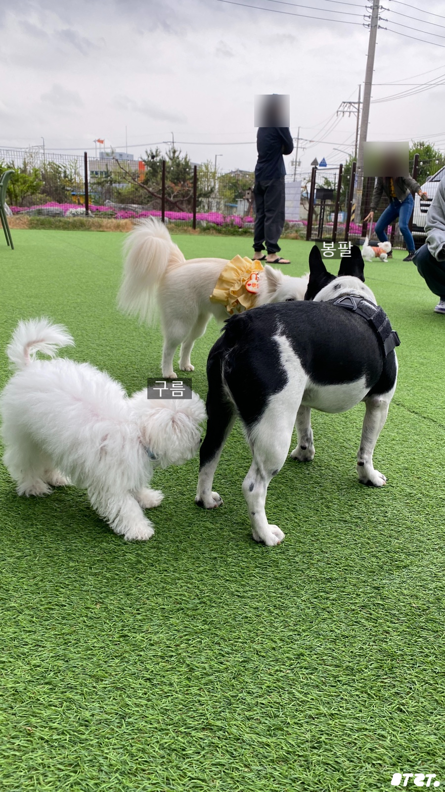 카페리브어스 이미지