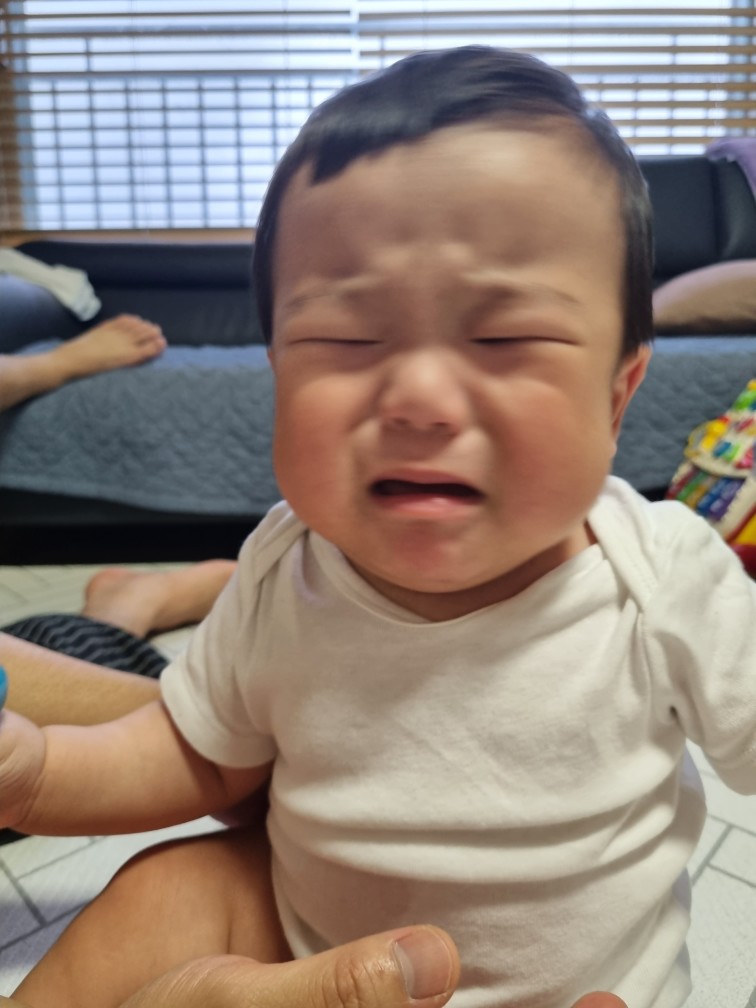 빵떡쿵 이미지