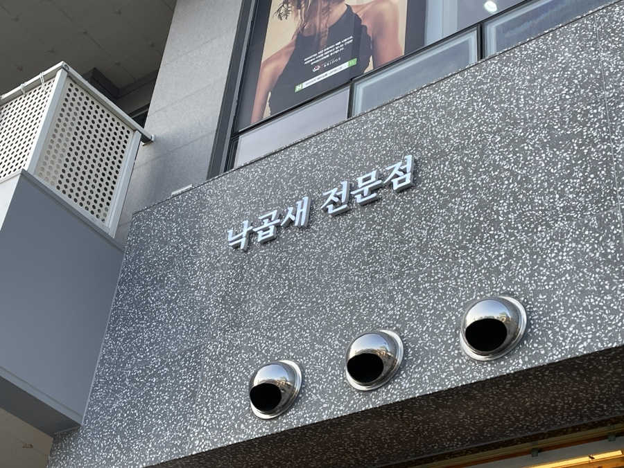 나주개미집 이미지