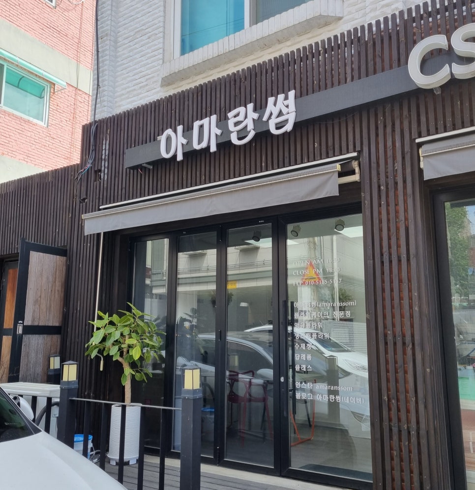 아마란썸 이미지