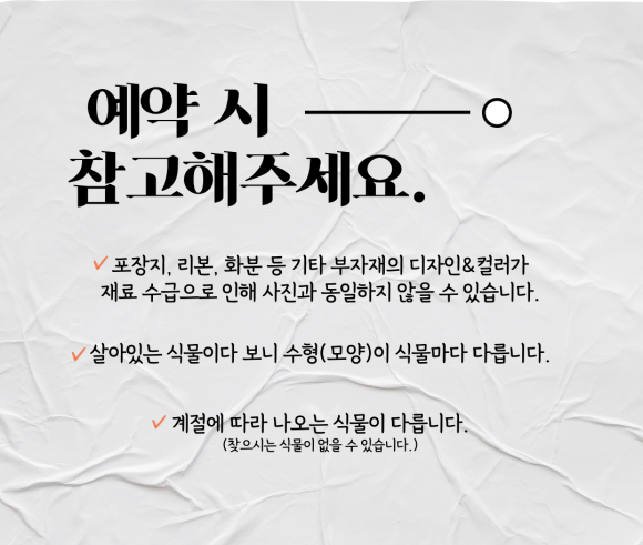 초이플라워 이미지