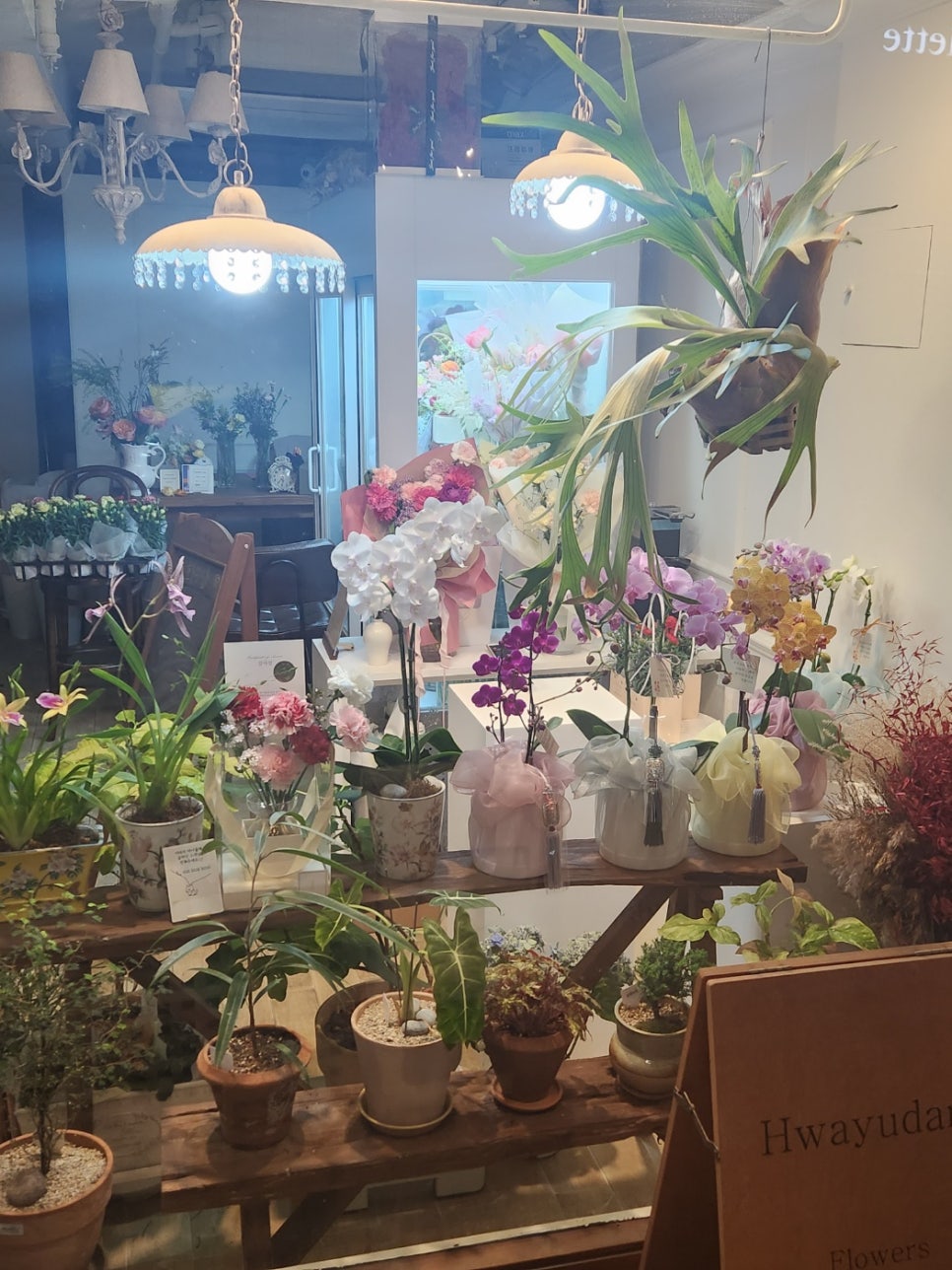 화유담 이미지