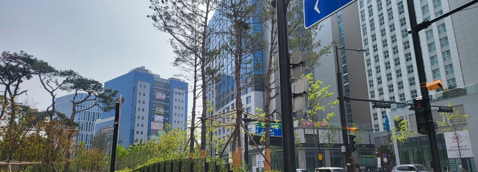 드림발레하우스학원 이미지