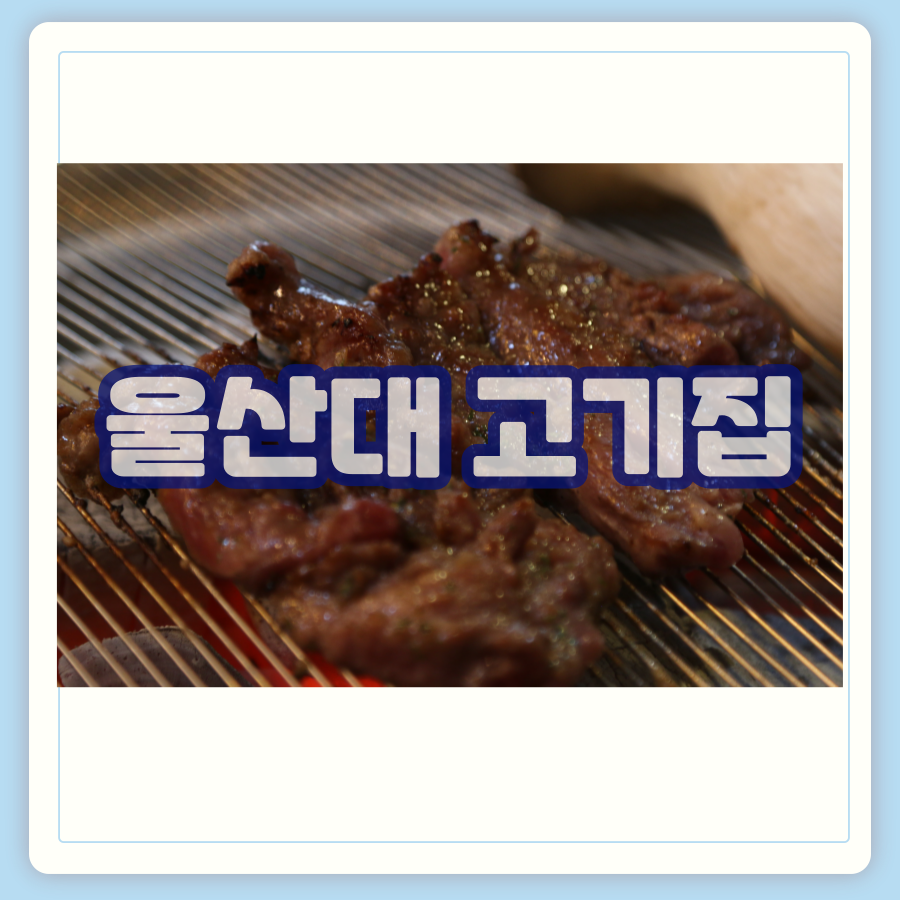 대식가2900 이미지