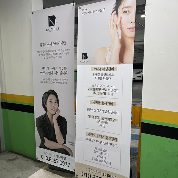 보니예 이미지