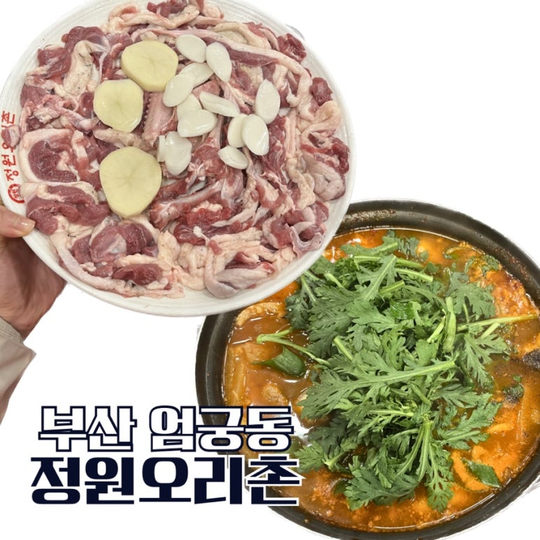 정원오리촌엄궁 이미지