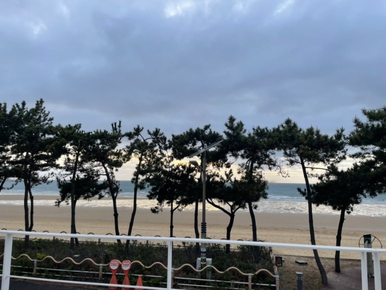 엠엘피 이미지