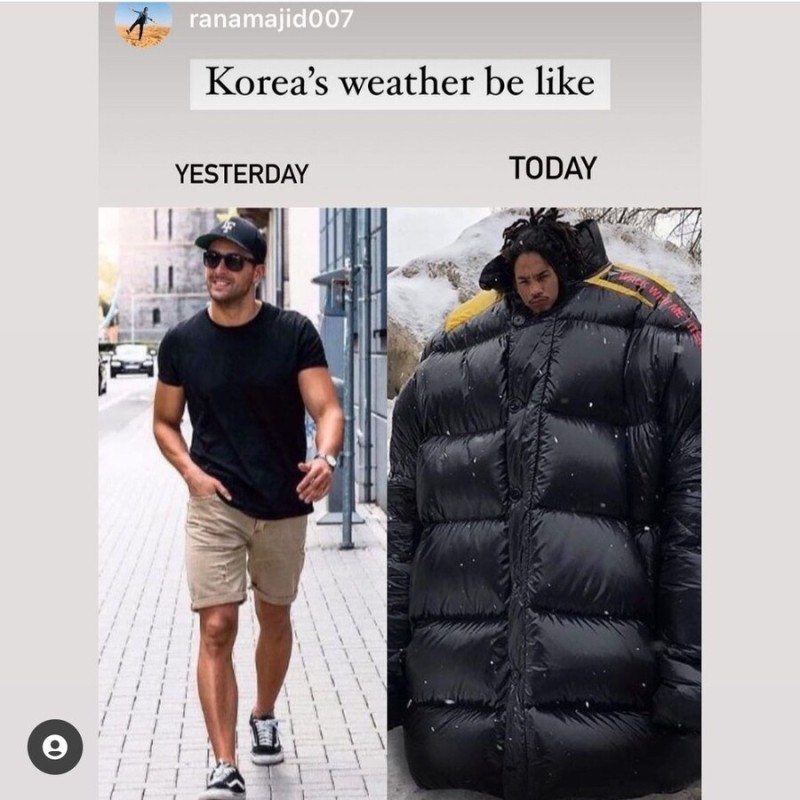 종로쭈꾸미반구점 이미지