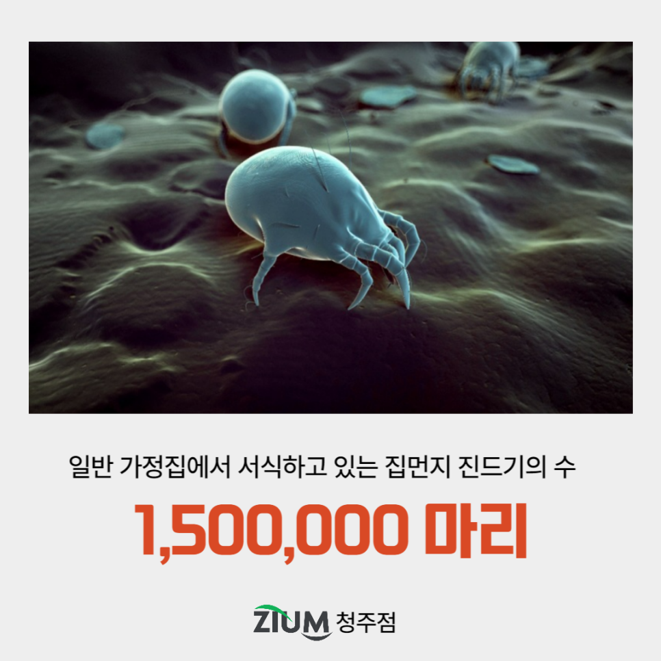 지움 청주점 이미지