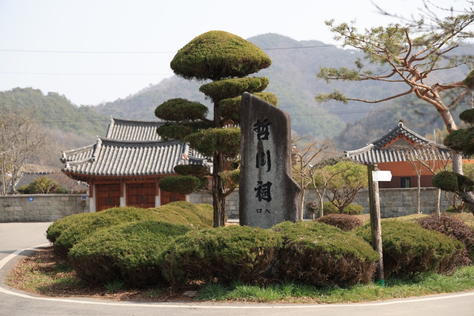정현정공 이미지