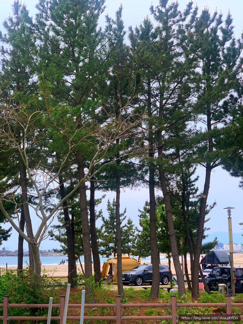 백도해변야영장 이미지