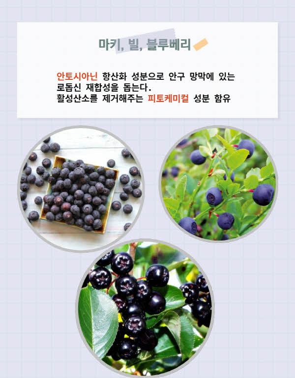 레인보우플러스 이미지