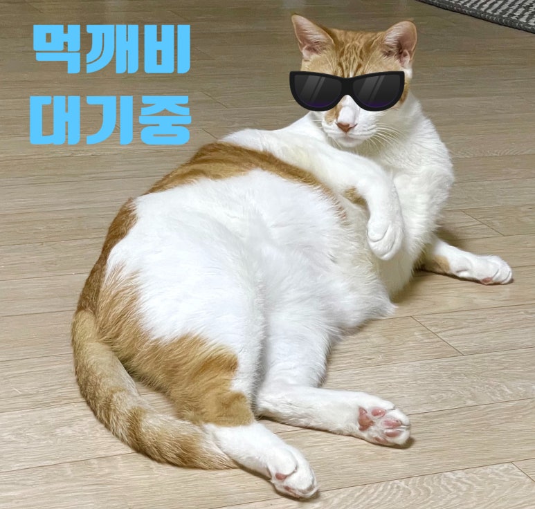 무스테일 이미지