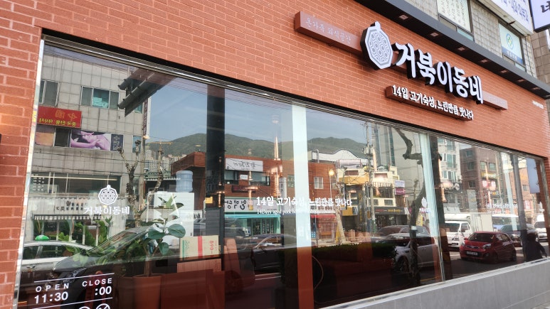 거북이동네 이미지