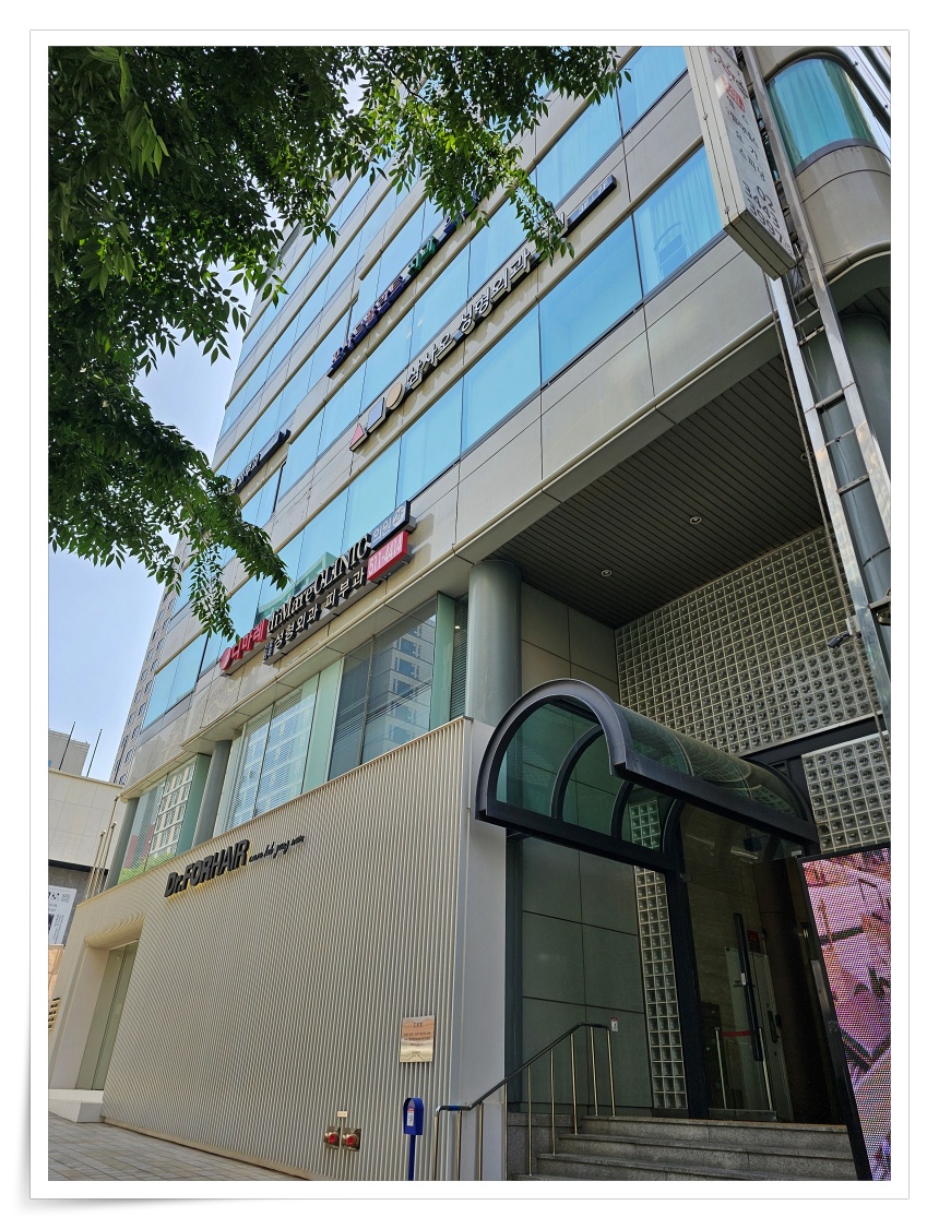 포샤르플란트치과의원 이미지