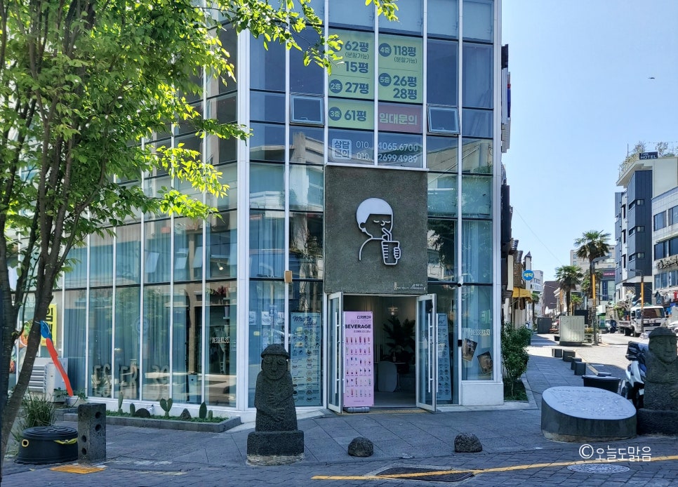 디저트39서귀포명동로점 이미지