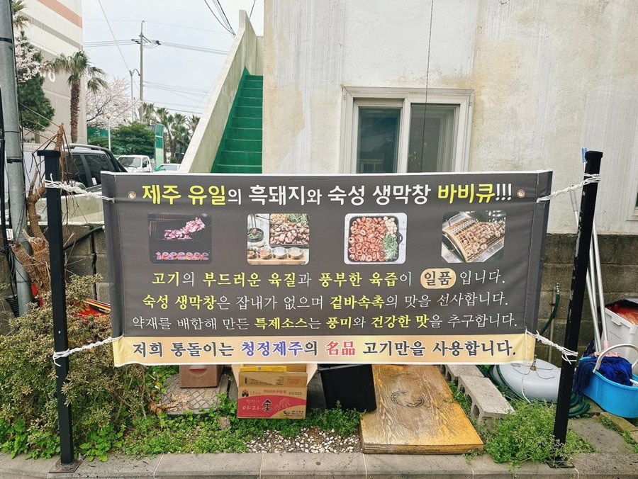 돈통가 이미지