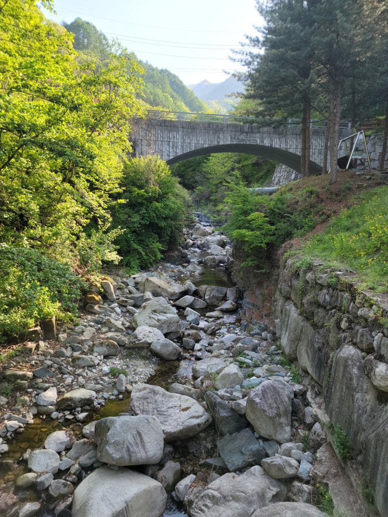 수도산자연휴양림 이미지
