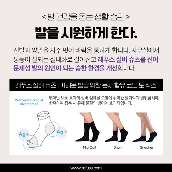 레푸스전주 이미지