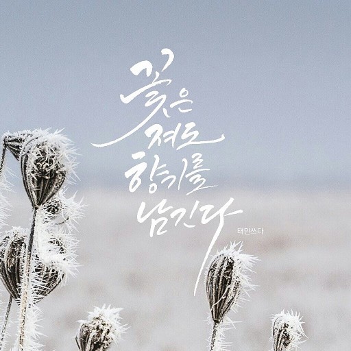 메추라기집 이미지