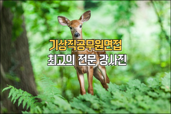 핀스피치학원 이미지
