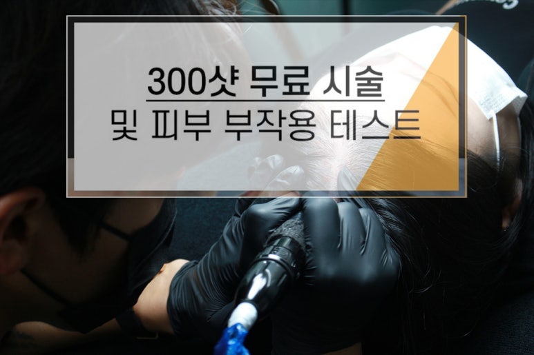 디에스엠피 이미지