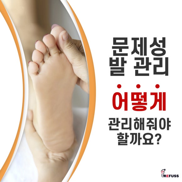 레푸스전주 이미지