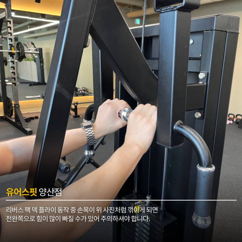 덱스핏 이미지