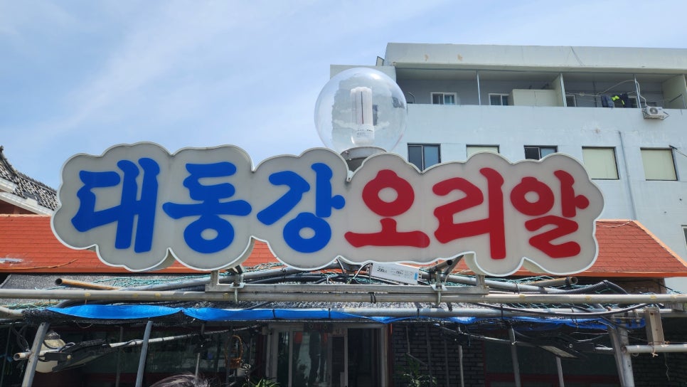 대동강오리알 이미지