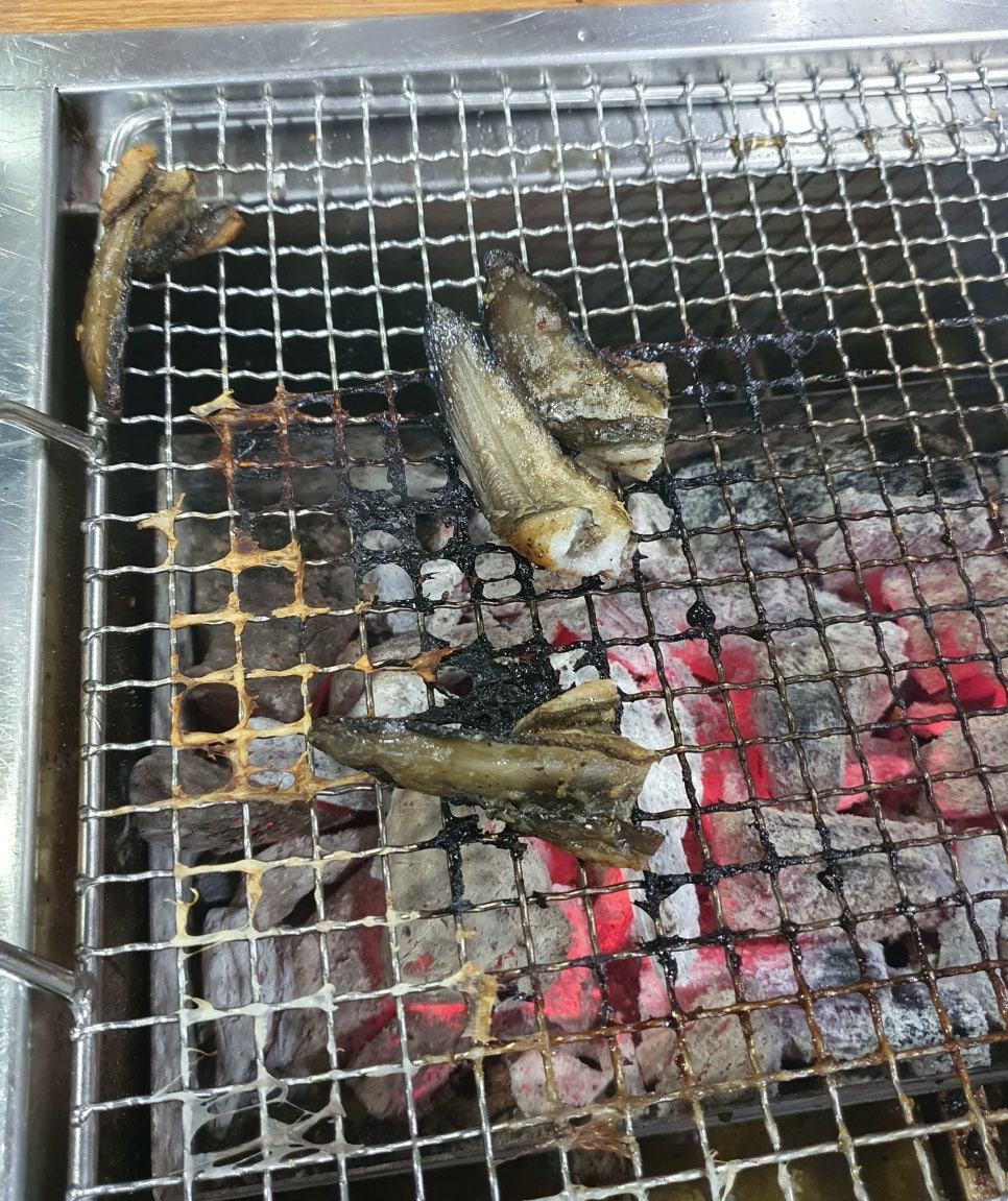 장어세상 이미지