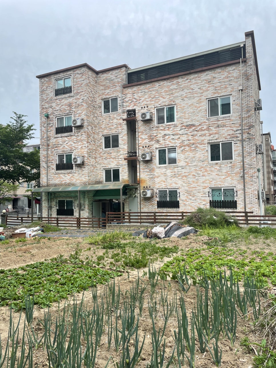 고향촌칼국수 이미지